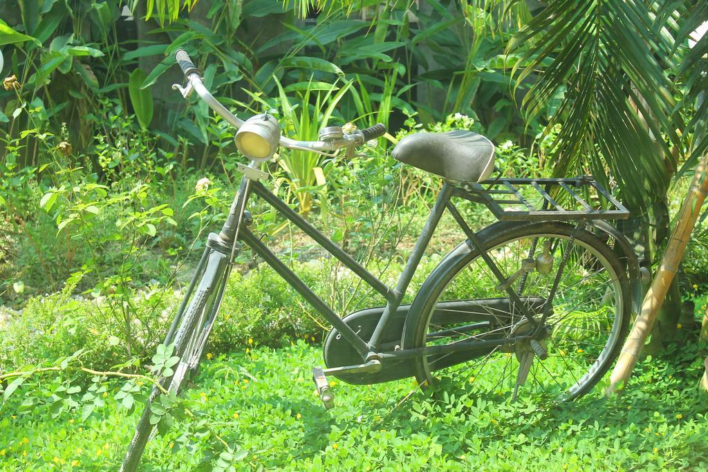 Fullhouse Resort Mae Suai Rom bilde